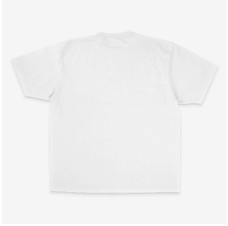 Musix Tee (white)